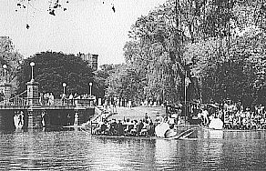 #003 public garden, swan boats